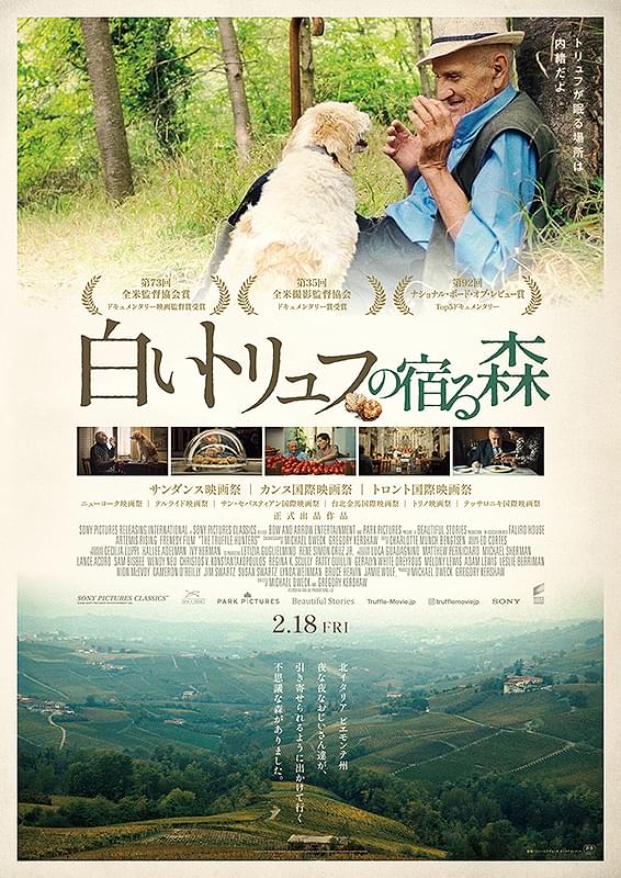 白いトリュフの宿る森